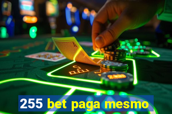 255 bet paga mesmo